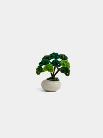 Allenwood Flower [Bonsai]