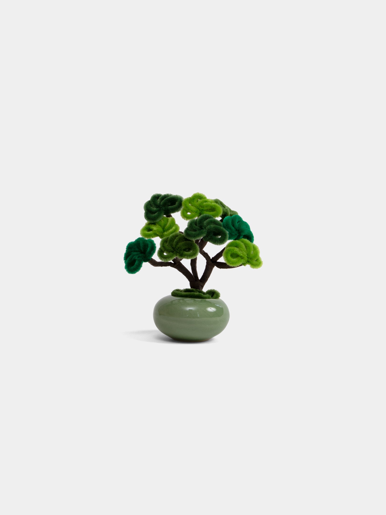 Allenwood Flower [Bonsai]
