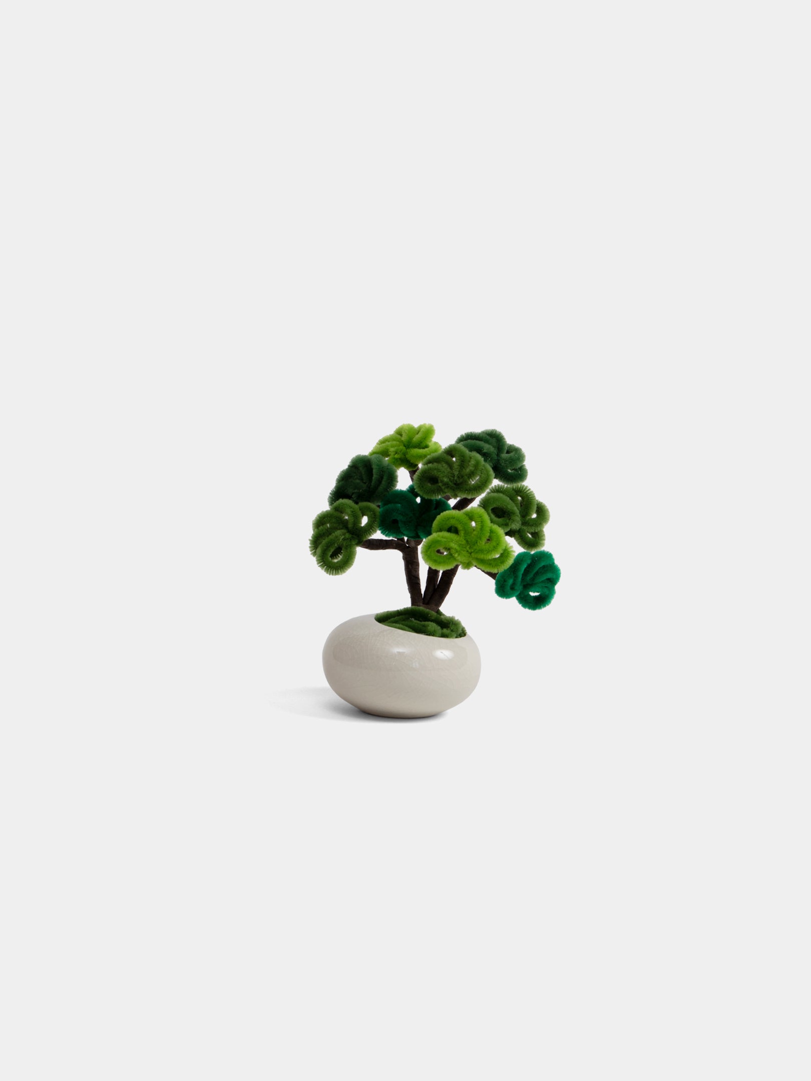 Allenwood Flower [Bonsai]