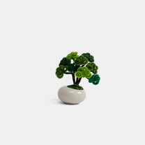 Allenwood Flower [Bonsai]
