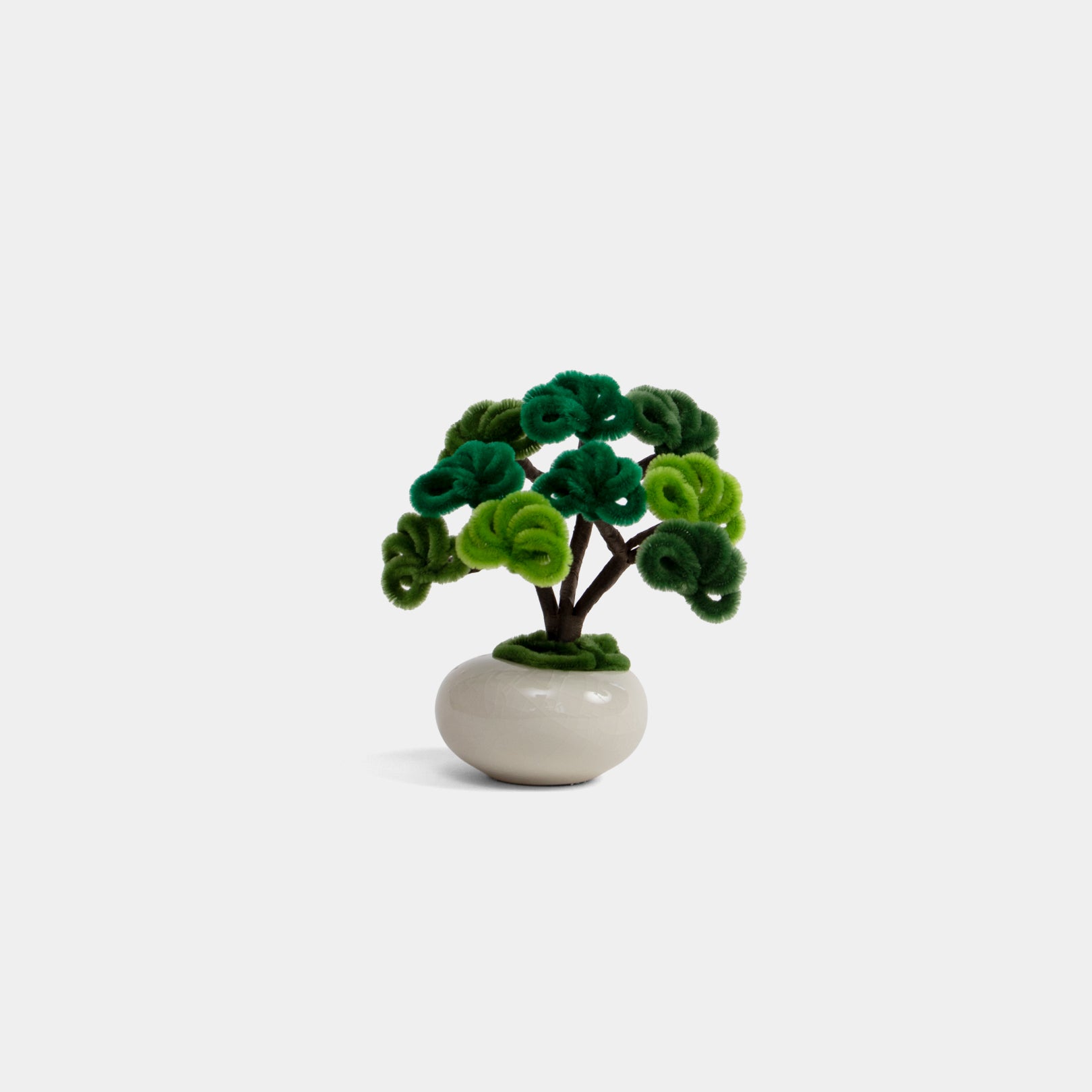 Allenwood Flower [Bonsai]