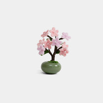 Allenwood Flower [Bonsai]